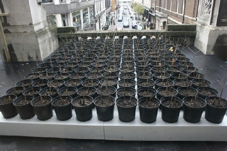 Ackroyd & Harvey Beuys' Acorns, 2006