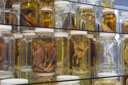 Brandon Ballanger collapse 2015