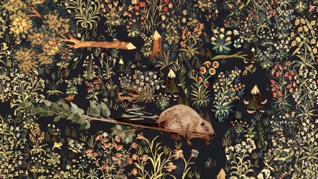 Suzanne Husky Bièvre, bâtisseur de monde 2023