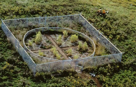 Mel Chin Revival Field, (depuis 1990)