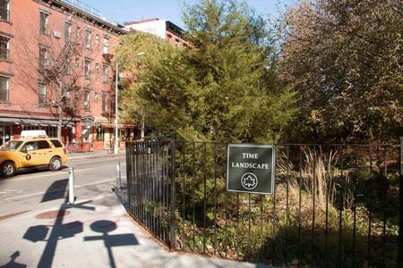 Alan Sonfist Time Landscape,1975