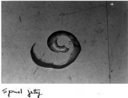 Joachim Mogarra La spirale Jetty 1985