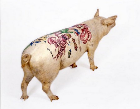 Wim Delvoye cochons taoués