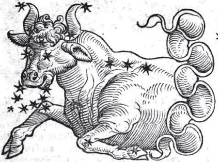 Taureau Céleste issu du Liber Astronomiae de Guido Bonatti (1550)