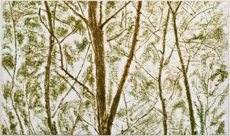 Giuseppe Penone, Verde del Bosco, 1986